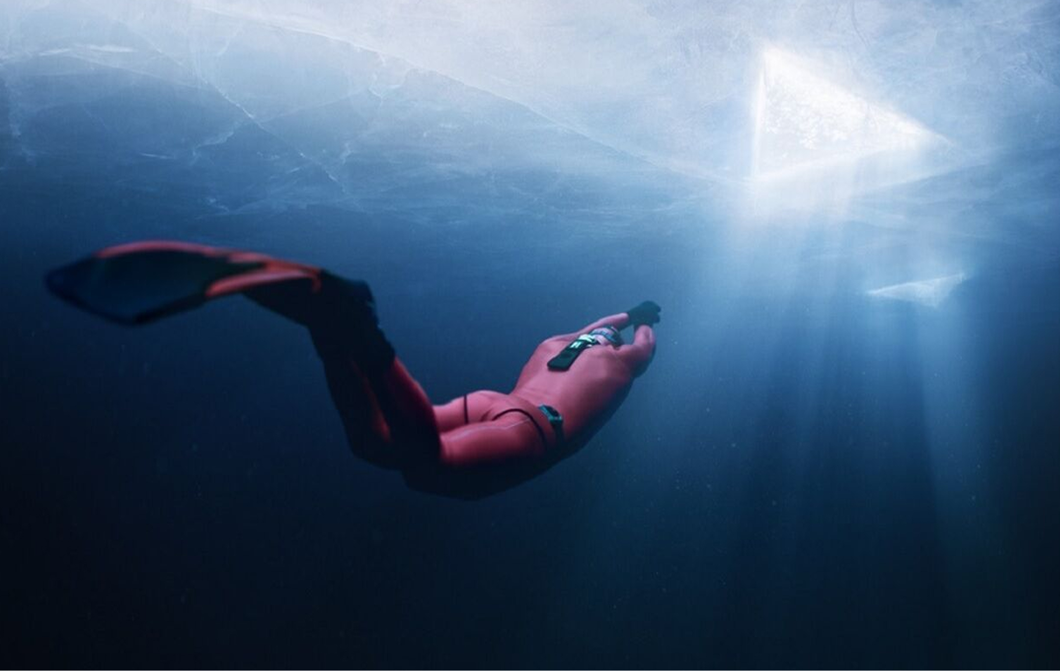 Swimmer