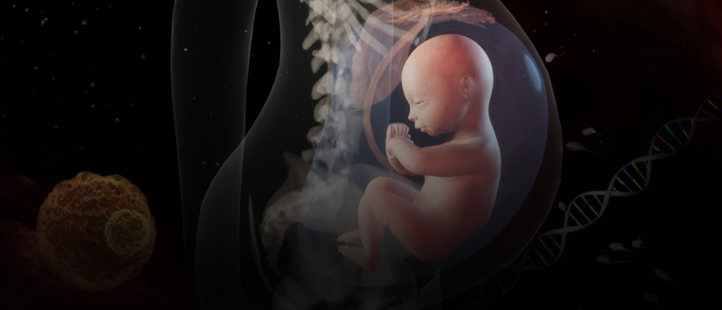 project life before birth